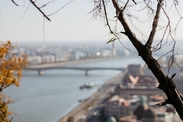 A blurry, scenic view of Budapest from above, with the Danube River and bridges in the background, framed by tree branches in the foreground.