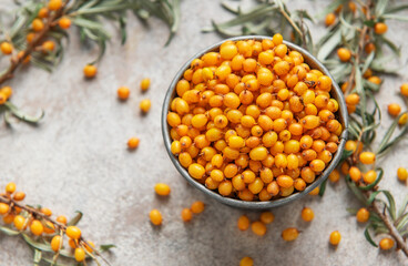 Fresh sea buckthorn berries overflowing a small metal bucket