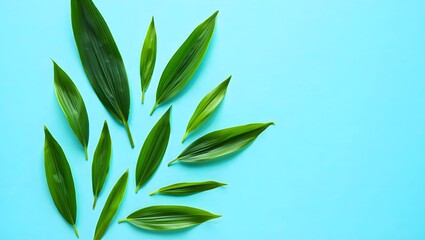 Abstract arrangement of green leaves on a bright blue background