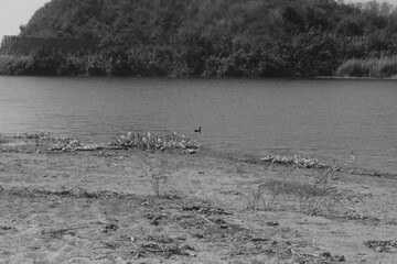 playa en blanco y negro