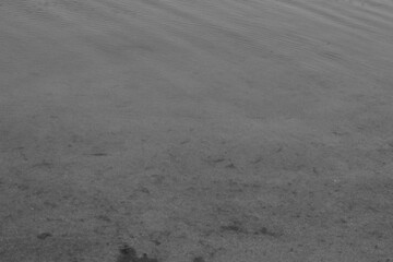 playa en blanco y negro