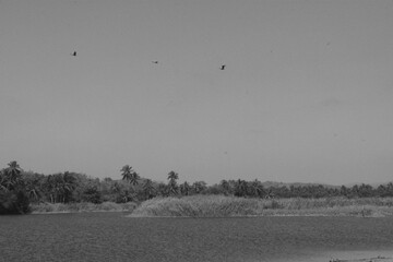 playa en blanco y negro