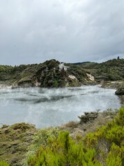 Beautiful nature and surroundings in Rotorua, New Zealand