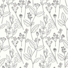 Delicate botanical pattern featuring intricately drawn plants and flowers in monochrome, seamless pattern, Stock royalty free image.