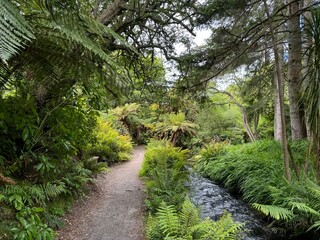 Beautiful nature and surroundings in Rotorua, New Zealand