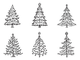 Christmas tree shining bright every evening