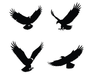 Obraz premium Four distinct black silhouette illustrations of majestic eagles in various dynamic flight poses against a clean white background