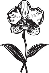 Obraz premium Orchid Flower Silhouette Vector Bundle | Floral Clipart SetBotanical Orchid SVG PNG EPS JPG | Floral Line Art CollectionOrchid Flower Outline Vector Pack | Decorative Floral Graphics