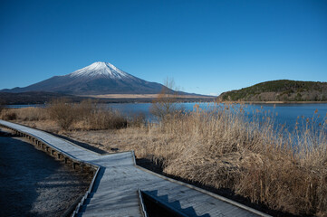 山中湖から望む富士山