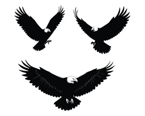 Obraz premium Three silhouettes of bald eagles in flight showing different wing positions against a white background