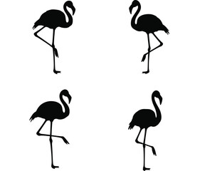 Four black silhouette flamingos standing on one leg in different poses against a white background