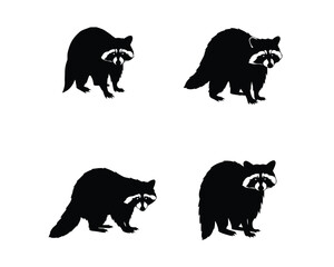 Set of four black silhouette illustrations of raccoons in different poses on a white background for graphic design