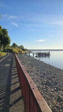 Bright view of Lago Ranco on a sunny day with blue skies, sparkling waters, and surrounding mountains, showcasing the natural beauty of southern Chile.