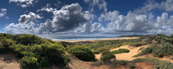 Coastal dune landscape with a vast expanse of ocean and sky.  Panoramic view