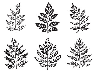 Fern Leaf Tropical Jungle Plant Beauty