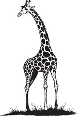 Naklejka premium Giraffe illustration. Hand drawn vector illustration