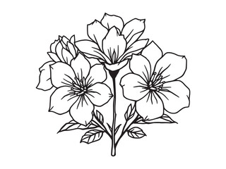 Gardenia flowers brighten every garden space