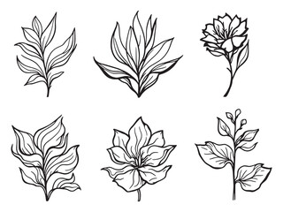 Heliconia bright tropical flowers in garden