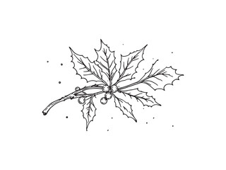 holly branch with berries festive decoration