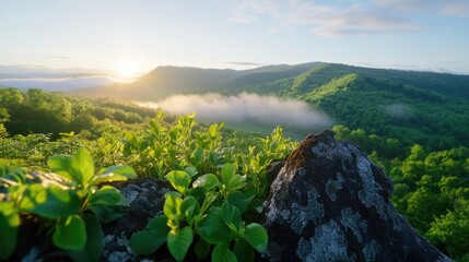 Sunrise over mountain landscape