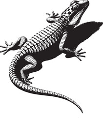 Illustration of a lizard. Hand drawn vector illustration	