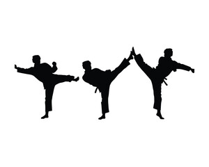 Silhouettes of three martial artists performing dynamic high kicks in unison against a clean white background showcasing athletic movement
