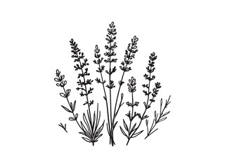 Lavender Petals Float Across Calm Waters