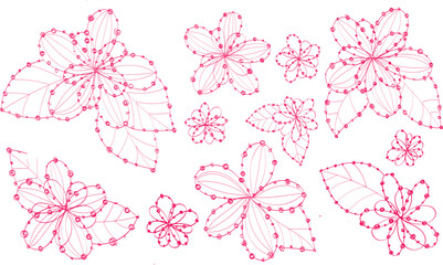 Hand drawn ink line flowers with dot pink color elements on white. Vector set icon tender, gently, girly isolated on white