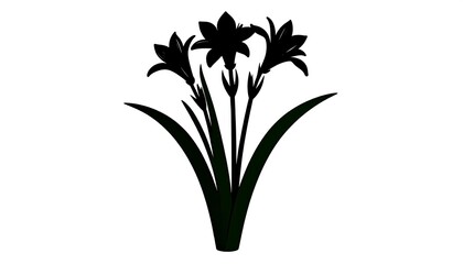 Simple, elegant silhouette of a flowering plant with prominent leaves.