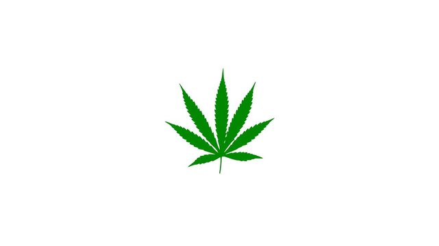 Marjuana leaf animation POP in animation a nd Fade in Animation
