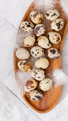 Quail eggs nestled on rustic wood with ethereal white feathers evoke Ostara's renewal and Umami Egg Fest culinary wonders