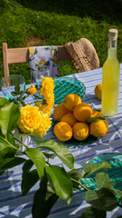 Sun-drenched lemons and vibrant roses evoke Mediterranean afternoons, channeling Sukkot's bounty and La Tomatina's citrusy zest