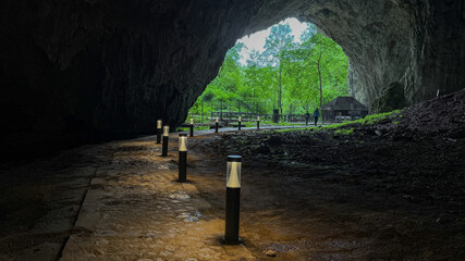 Dim-lit path leads to verdant cavern entrance, echoing mystery of Earth's secrets, perfect for...