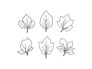 Magnolia Leaf Natural Minimalist Vector Style