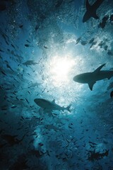 Obraz premium Undersea sharks and fish