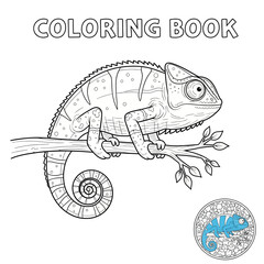 Obraz premium Coloring book page featuring a chameleon on a branch outline illustration.