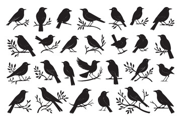 Collection of black bird silhouettes on branches twig