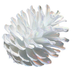Iridescent White Pine Cone Close-Up