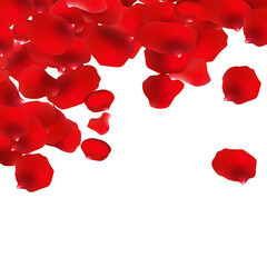 red rose petals  confetti corner frame
