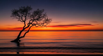 Solitary Tree Silhouetted Against a Fiery Sunset Over the Ocean
