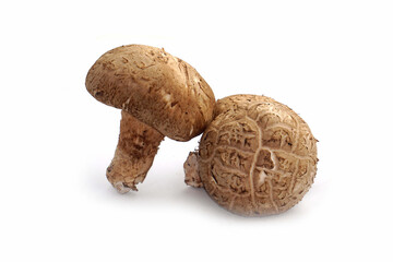 Fresh shiitake mushrooms placed on a white background.