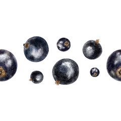 Black ripe currant berry simple seamless border. Summer print of garden cassis fruits. Hand drawn botanical background for cosmetic packaging, table textile, fabric