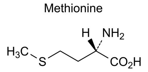 Fototapeta premium Chemical structure of methionine, drug substance