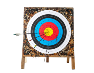 Archery target icon isolated on a white background.