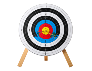 Single archery target on a white background.