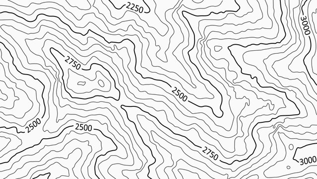Topographic map with labels. Geographic mountain relief. Abstract lines background. Contour maps. Vector illustration.