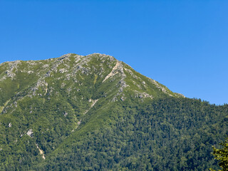 三股登山道から望む前常念岳の夏山風景