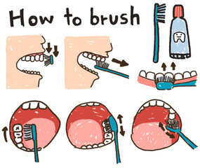 Steps of how to brush your teeth infographic diagram human mouth tooth surface clean inside gum forth motion using toothpaste vector illustration drawing for medical dental clinic education poster