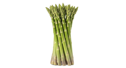 Fresh green asparagus isolated on transparent background, a healthy and nutritious vegetable