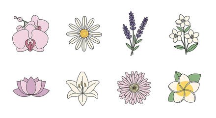 Collection of various pastel-colored flowers and orchids, simple line art style.